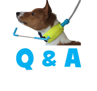 The 5 Most Asked Questions about The Hydro Leash