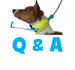 The 5 Most Asked Questions about The Hydro Leash