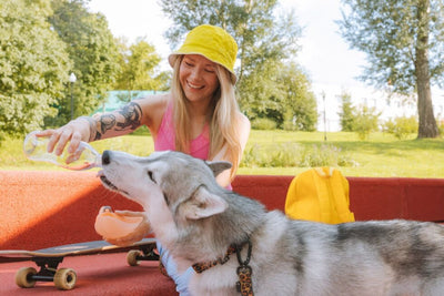 The 5 Best Ways to Keep Your Dog Hydrated