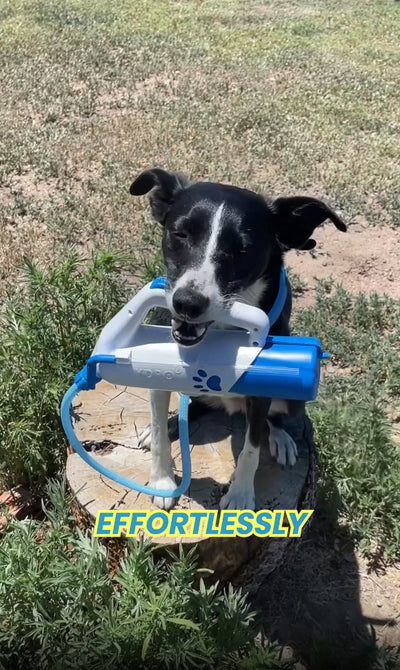 The Hydro Leash® - All Sizes for Easy Hydration